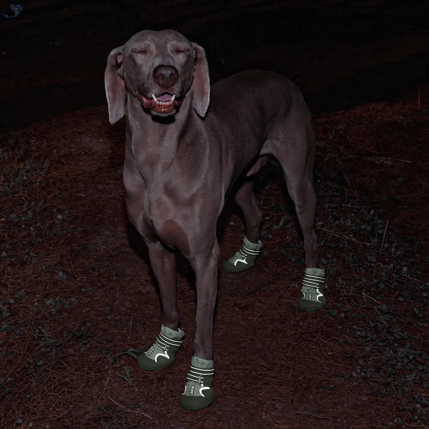 Dog Shoes, Waterproof Dog Boots & Paw Protectors with Anti-Slip Sole, 4pcs/Set Pet Dog Booties, Reflective Dog Shoes for Small Medium Large, Winter Snowy Summer Hot Pavement (Green, 7# (XL))