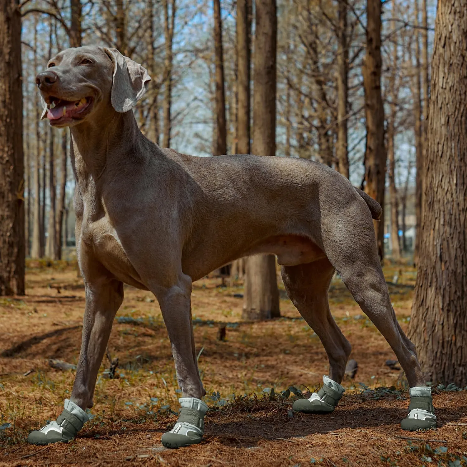 Dog Shoes, Waterproof Dog Boots & Paw Protectors with Anti-Slip Sole, 4pcs/Set Pet Dog Booties, Reflective Dog Shoes for Small Medium Large, Winter Snowy Summer Hot Pavement (Green, 7# (XL))