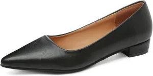 Low Block Heel Pumps for Women Comfort Pointed Toe Slip-On Dress Flats Shoes Casual Office Dress Shoe