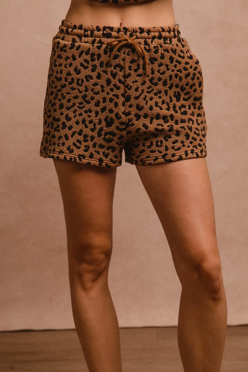 Sherri Leopard Knit Set
