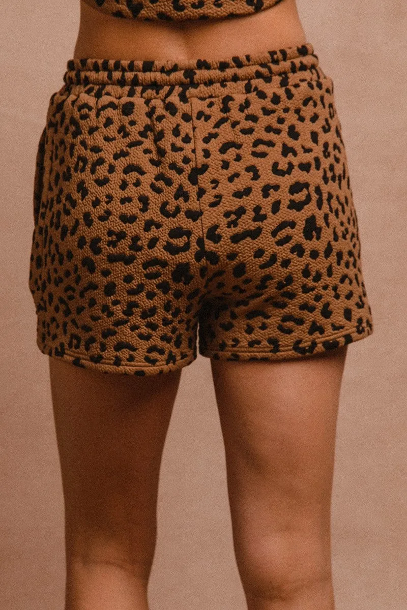 Sherri Leopard Knit Set
